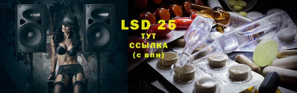 трава Гусиноозёрск