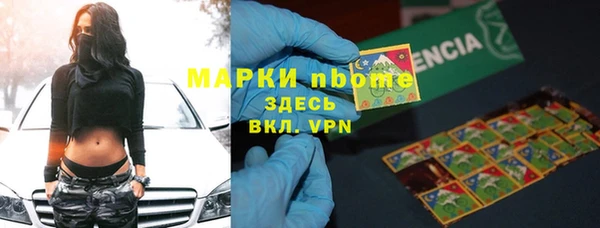 трава Гусиноозёрск