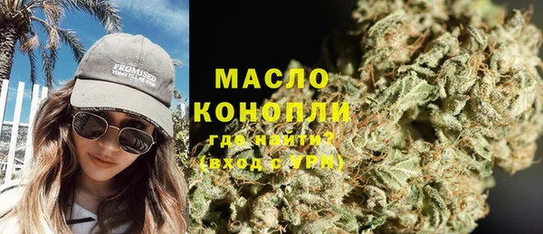 трава Гусиноозёрск
