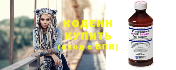 трава Гусиноозёрск