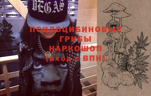 трава Гусиноозёрск