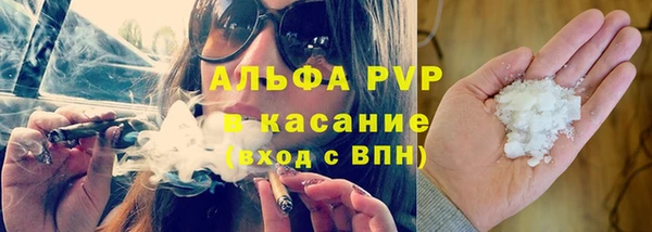 трава Гусиноозёрск
