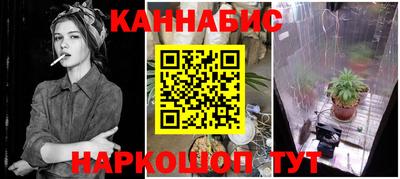 наркотики Новозыбков