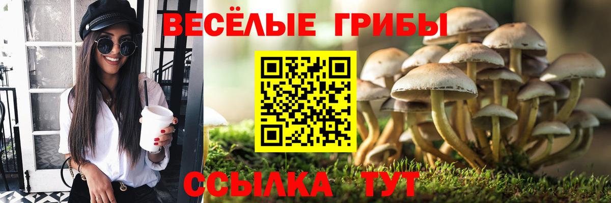 Заречный  Галлюциногенные грибы мухоморы  продажа наркотиков  Вход с VPN 